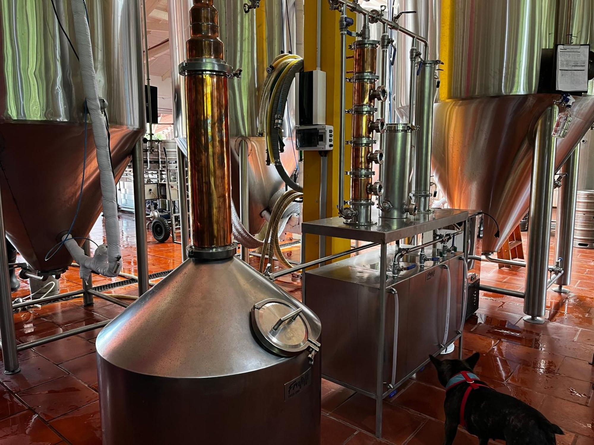 Beer Hotel Iguazu Πουέρτο Ιγκουασού Εξωτερικό φωτογραφία